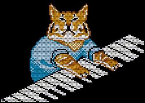 a cat wearing a t-shirt playing a keyboard