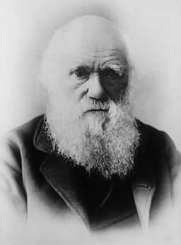 a photographic portrait of Charles Darwin's head and shoulders as old man with an impressive long white beard